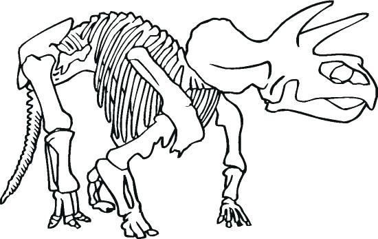 550x347 Dinosaur Bones Coloring Pages Free Skeleton Dino Murs