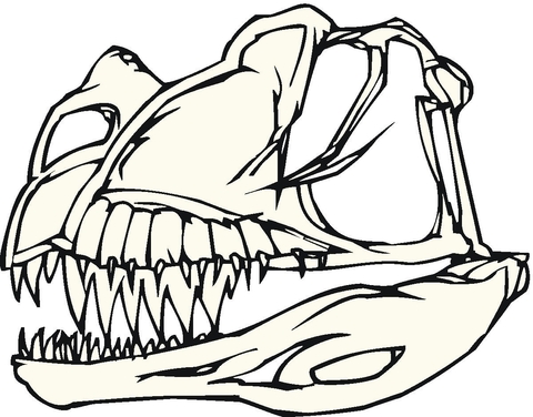 480x376 Dinosaur Bones Coloring Page Free Printable Coloring Pages