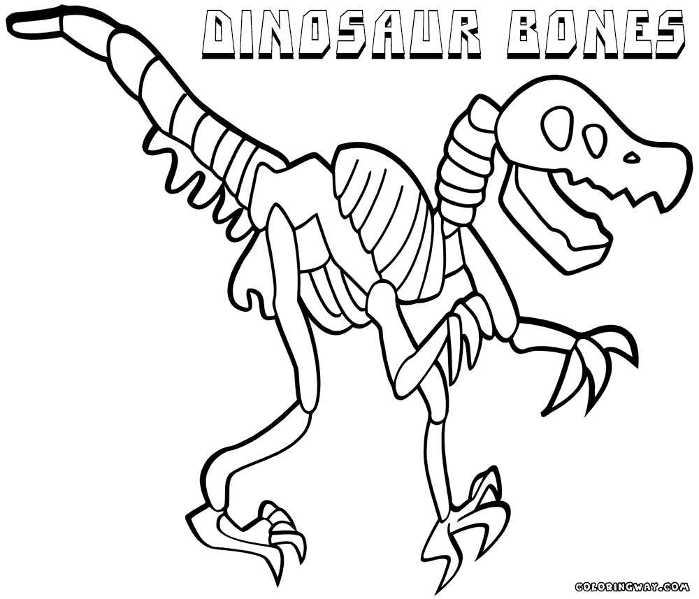 1000x857 Dinosaur Bones Coloring Pages Coloring Pages To Download And Print