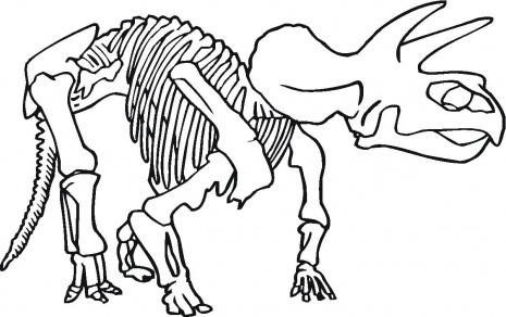 465x292 Coloring Pages Dinosaur Bones Coloring Pages