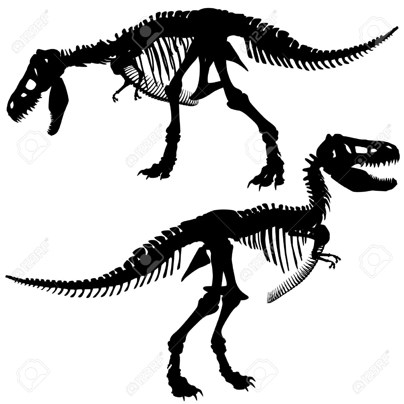 1300x1300 Editable Silhouettes Of The Skeleton Of A Tyrannosaurus Rex