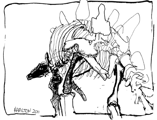 504x385 Gone But Not Fossils, Mysteries And Sketches