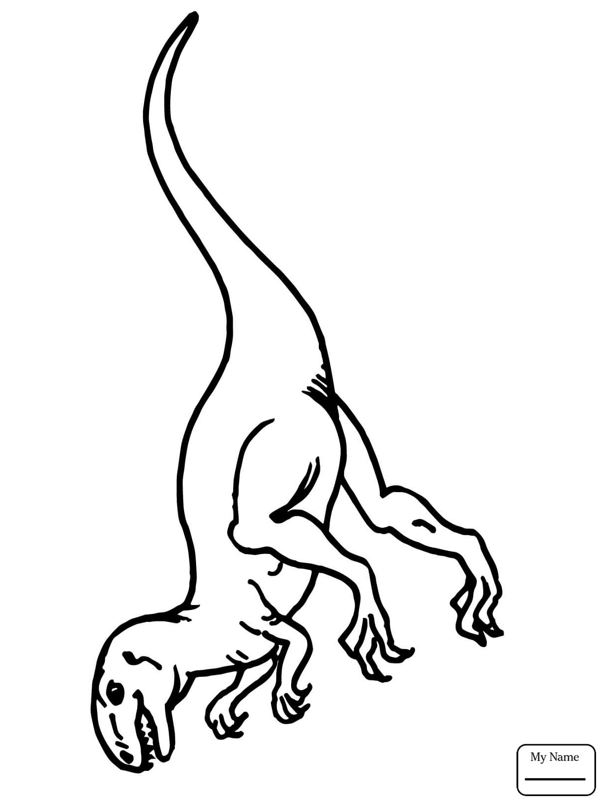 1224x1632 Coloring Pages Dinosaurs Misc Dinosaurs Dinosaur Bones