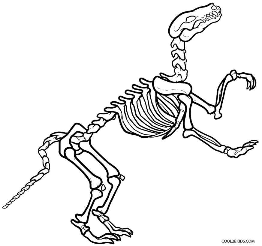 873x820 Dinosaur Bones Coloring Pages Free Coloring Page For Kids