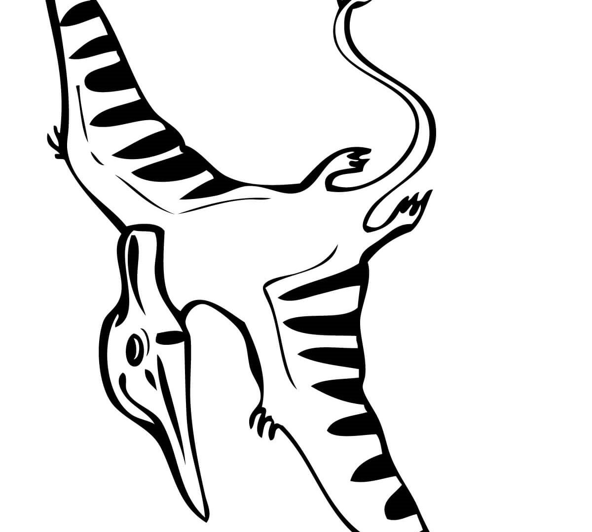 1200x1080 Pteranodon Coloring Page Dinosaurs Free Printable Pages