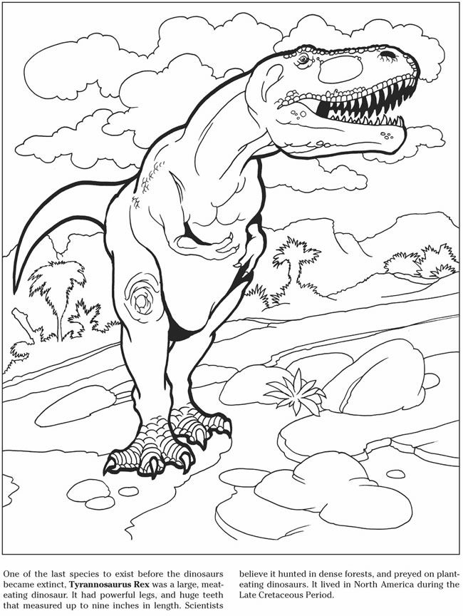 650x864 Welcome To Dover Publications 3 D Coloring Book
