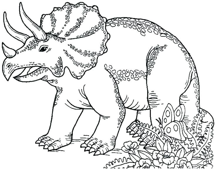 736x574 Dinosaur Drawings For Coloring Kids Dinosaur Coloring Pages