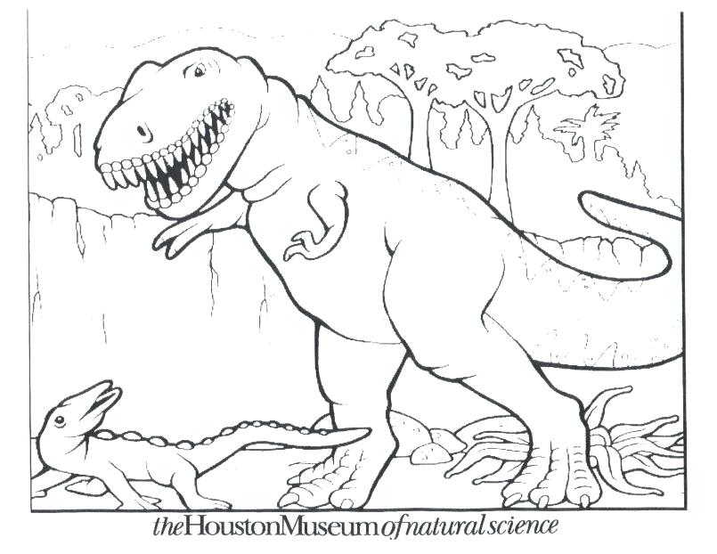 805x622 Printable Dinosaur Coloring Pages Coloring Pages Coloring Pages