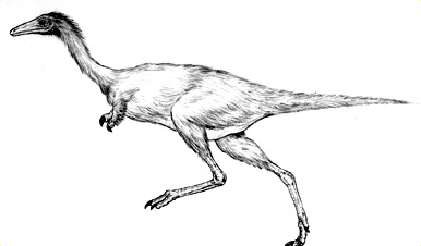 386x226 Drawing Dinos Ology, Science For Kids