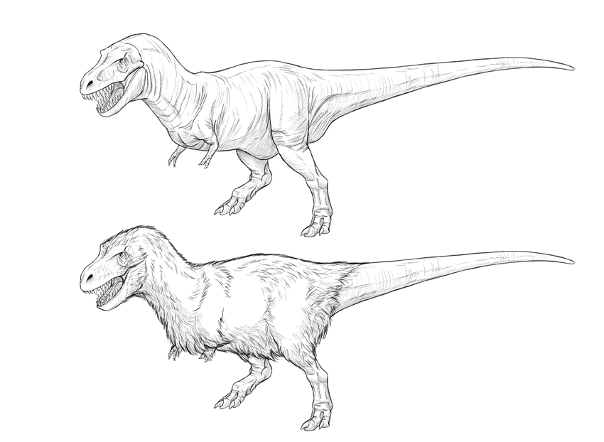 850x622 How To Draw A T Rex Dinosaur