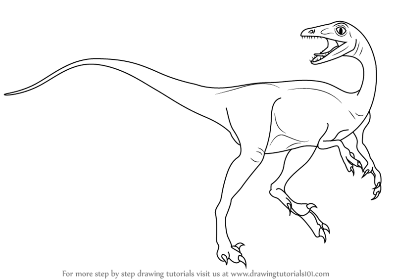 800x566 Learn How To Draw A Troodon (Dinosaurs) Step By Step Drawing