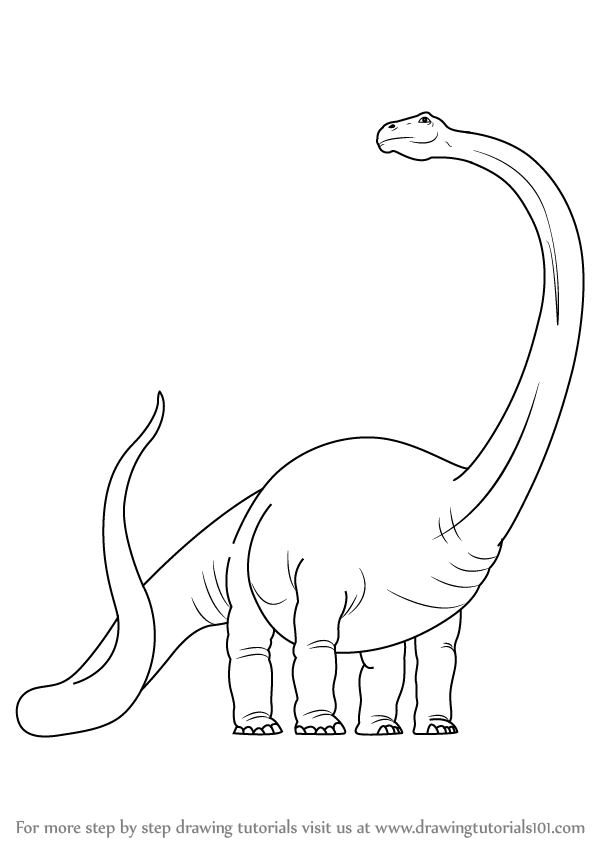 598x844 Learn How To Draw A Dinosaur (Dinosaurs) Step By Step Drawing