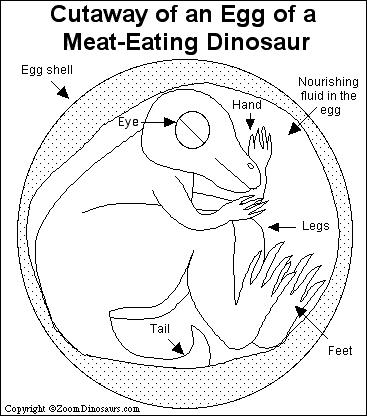 367x416 Dinosaur Egg Printout