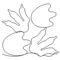 200x200 Shop Category Baby Kids Product Dinosaur Tracks 4 Bdr