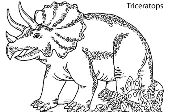 557x363 Dinosaur T Rex Coloring Page