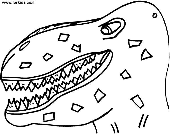 720x567 Dinosaurs Head Coloring Pages Colouring In Funny Draw Print