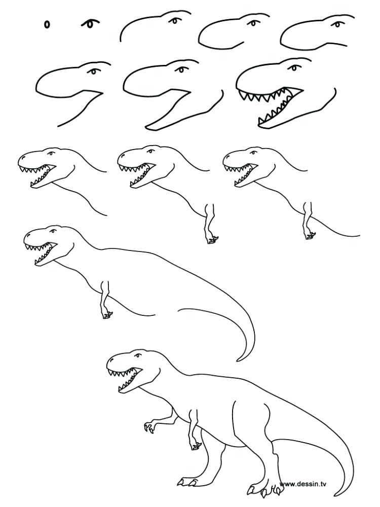 750x1000 Easy To Draw Dinosaur Sketch Dinosaur Head Easy To Draw Dinosaur