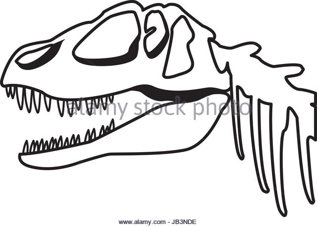 Dinosaur Head Drawing at GetDrawings | Free download