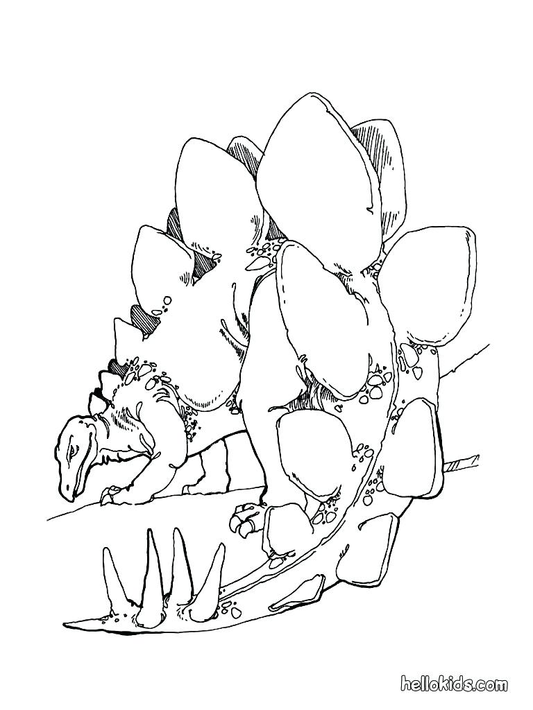 768x1024 Stylist And Luxury Coloring Pages Draw A Dinosaur Drawing Page