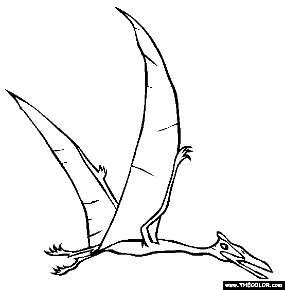 554x565 Dinosaur Online Coloring Pages Page 1
