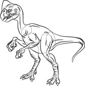 285x289 How To Draw Oviraptor Howstuffworks