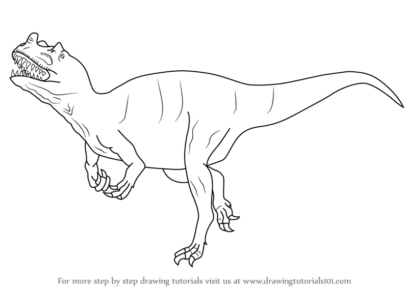 800x566 Learn How To Draw A Ceratosaurus (Dinosaurs) Step By Step