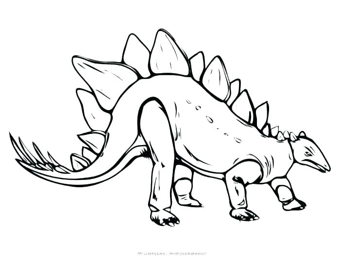 700x540 Drawn Dinosaur Stegosaurus 1 8 Pencil And In Color Coloring Page