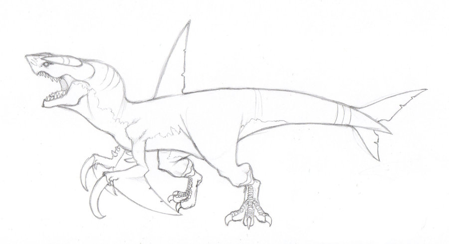 900x489 Garchomp Pencil Drawing By Uberwurmple