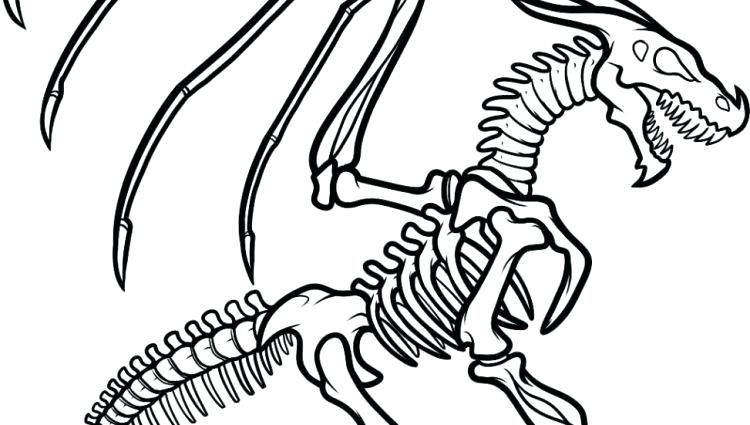 750x425 Dinosaur Skeleton Coloring Pages X X X A A Previous Image