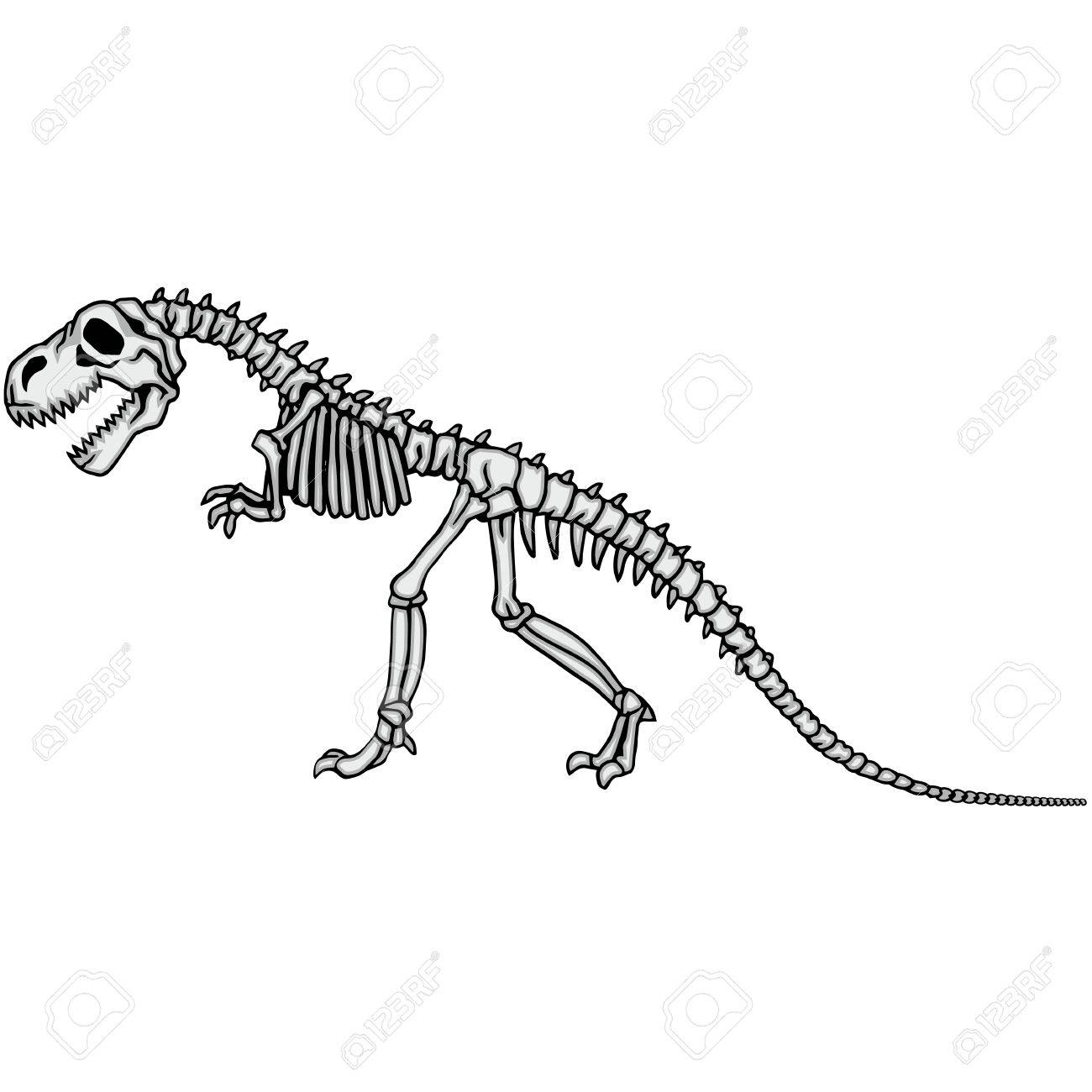 1300x1300 Dinosaur Skeleton Royalty Free Cliparts, Vectors, And Stock