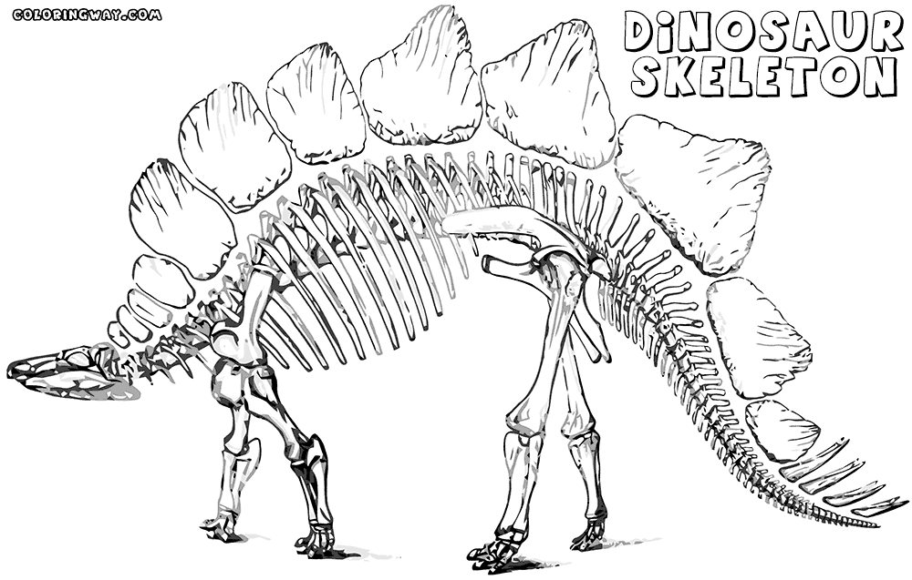 1000x637 Dinosaur Bones Coloring Pages Coloring Pages To Download And Print