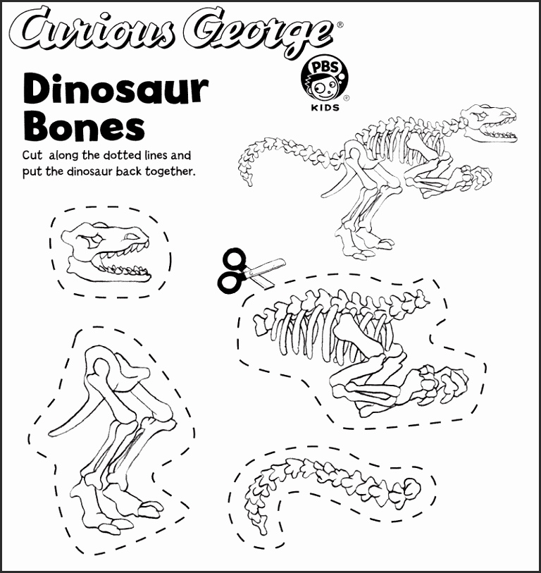 768x813 Dinosaur Fossil Coloring Pages Mcaev Luxury Dinosaur Skeleton