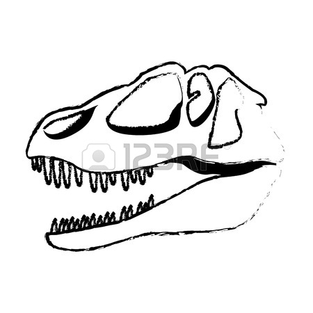 450x450 Dinosaur Skull Predator Ancient Fossil Vector Illustration Royalty