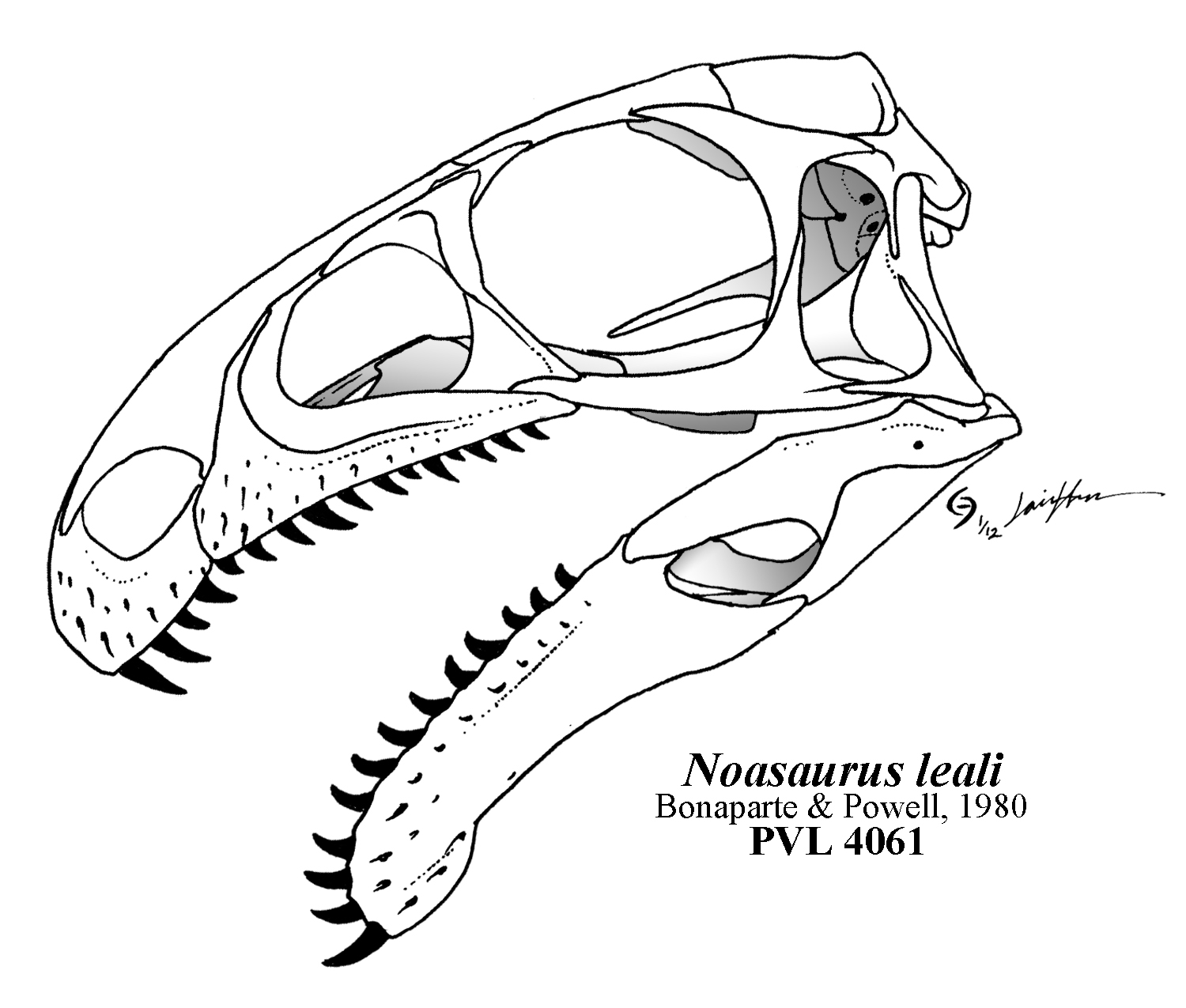 1500x1275 Incredulous Teeth, V The Strange Case Of Dr. Masiaka And Mr