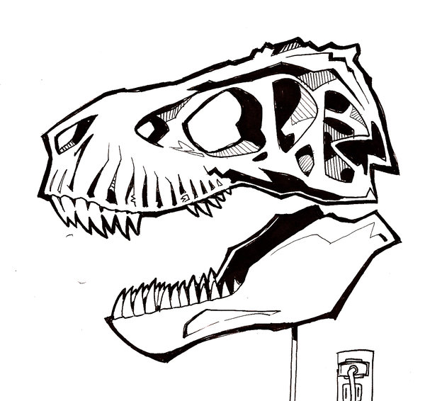 600x566 T Rex Skull By Mrorozco