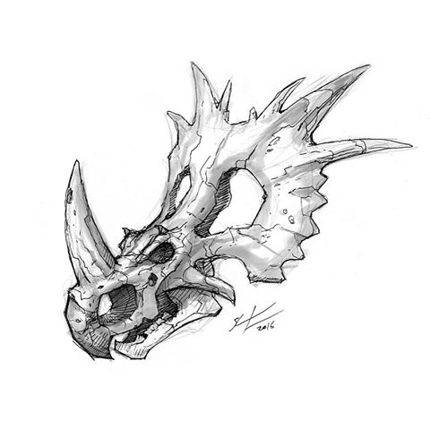 480x480 Dinosaur Skeleton Ink Dinosaur Skeleton Inked Drawing. Dinosaur