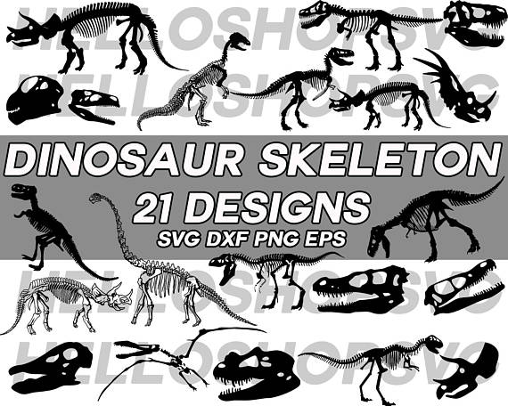 570x456 Dinosaur Skeleton Svg, Dinosaur Svg, Skull Svg, Dinosaur Skull