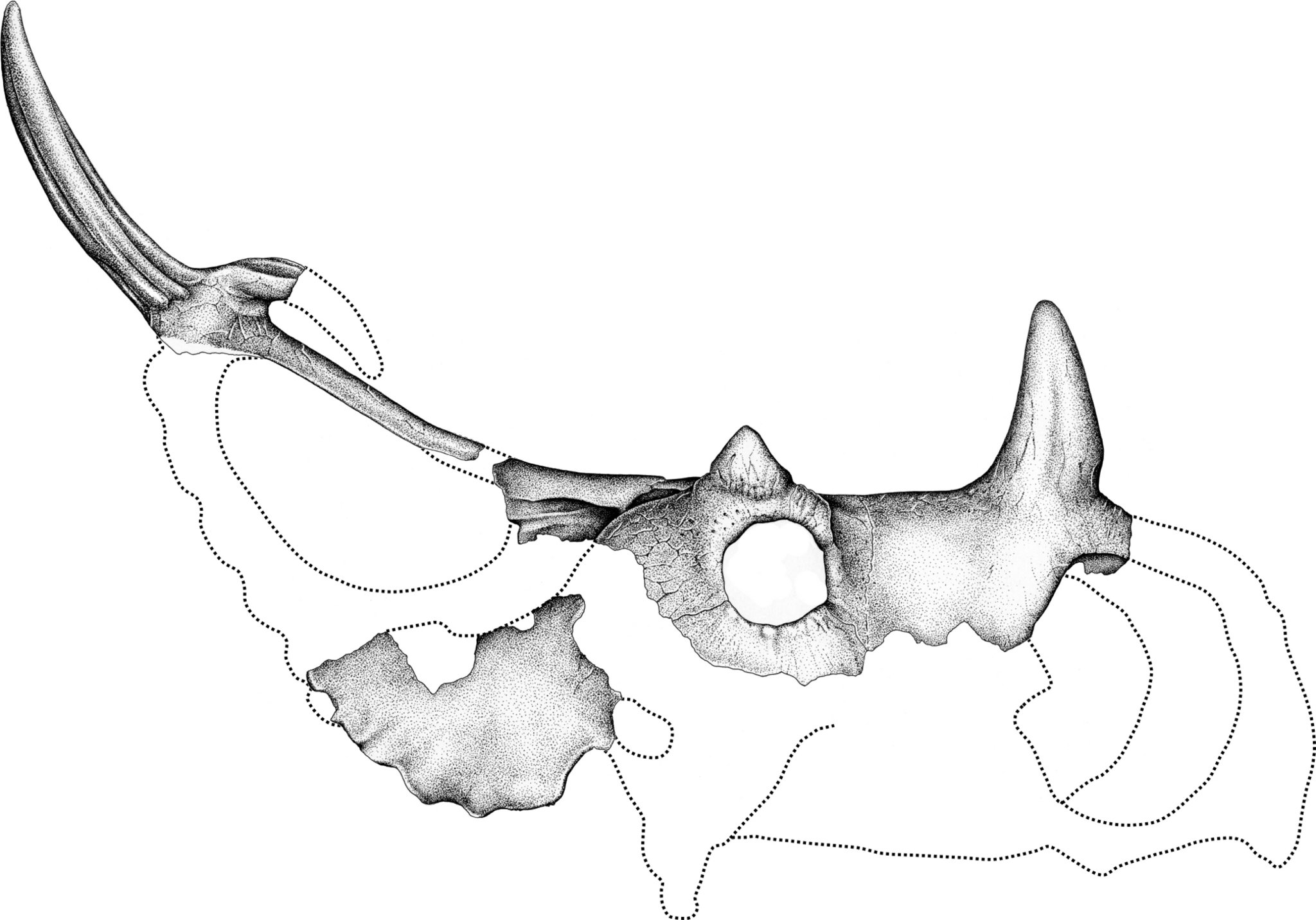 2048x1432 Cleveland Researcher, International Team Identify New Type