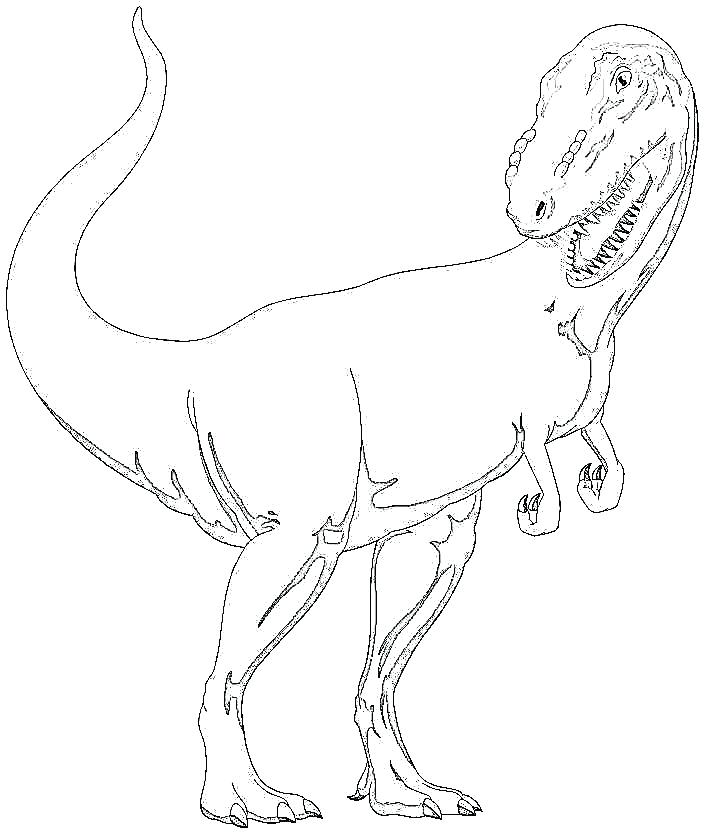 704x833 Tyrannosaurus Rex Coloring Page T Rex Coloring Pages Online