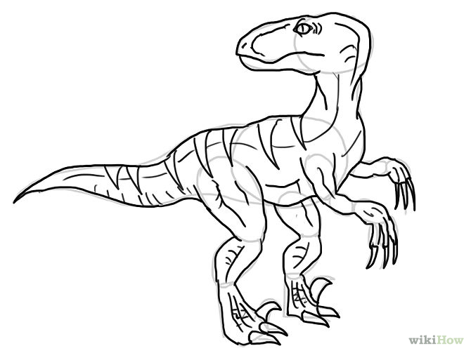 670x503 Pics For Gt Dinosaur Sketch How To Draw Sketches