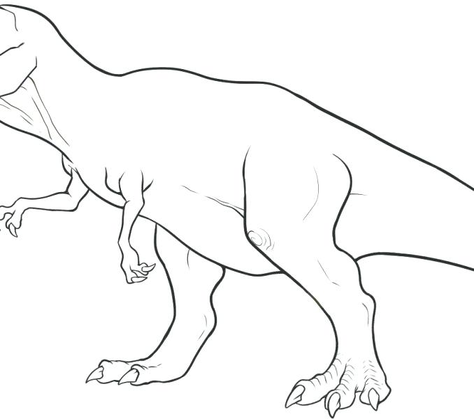678x600 Coloring Pages Of Dinosaurs Coloring Pages Dinosaurs Free