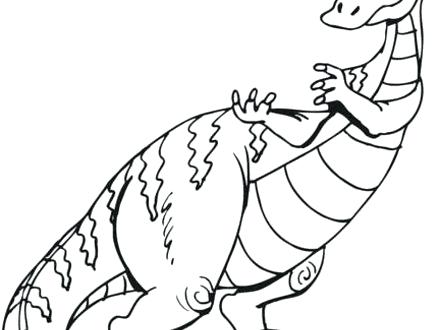 440x330 Coloring Outline Duck Outline Coloring Page Coloring Pages