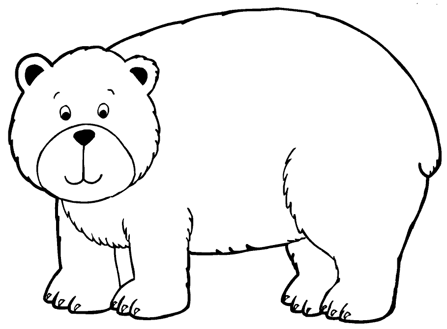 909x670 Bear Outline Brown Bear Clipart Outline Pencil And In Color Brown