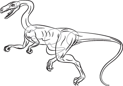 Dinosaurs Drawing Step Step