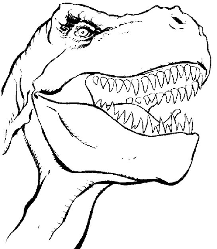 699x800 Dinosaurs To Color 497608