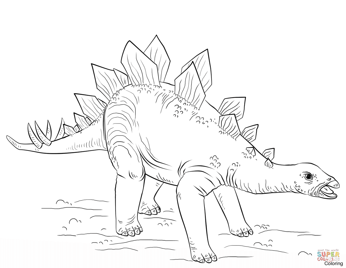 1186x920 Stegosaurus Coloring Page How To Draw A Click The Dinosaur 17f
