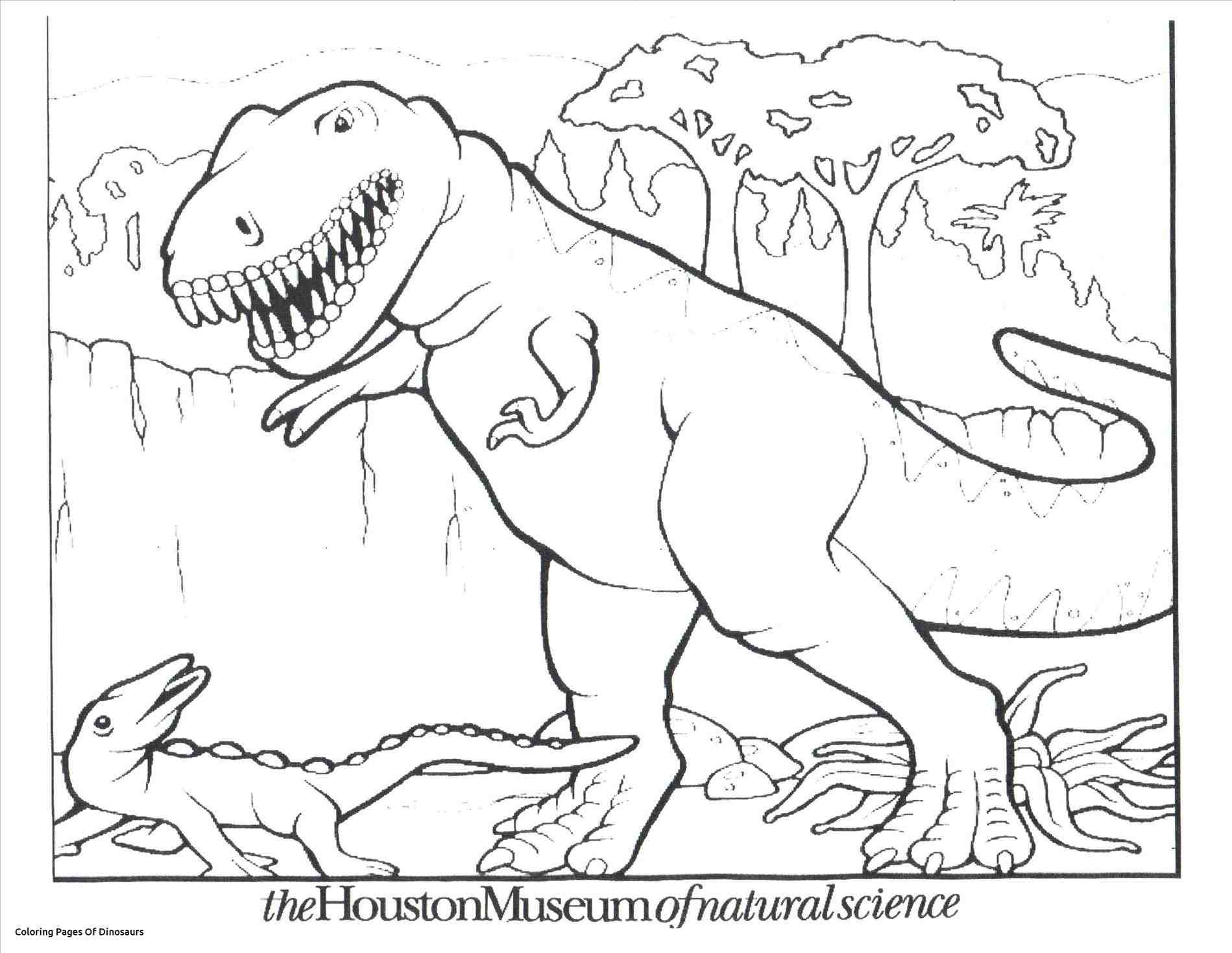 1899x1468 Dinosaurs Draw