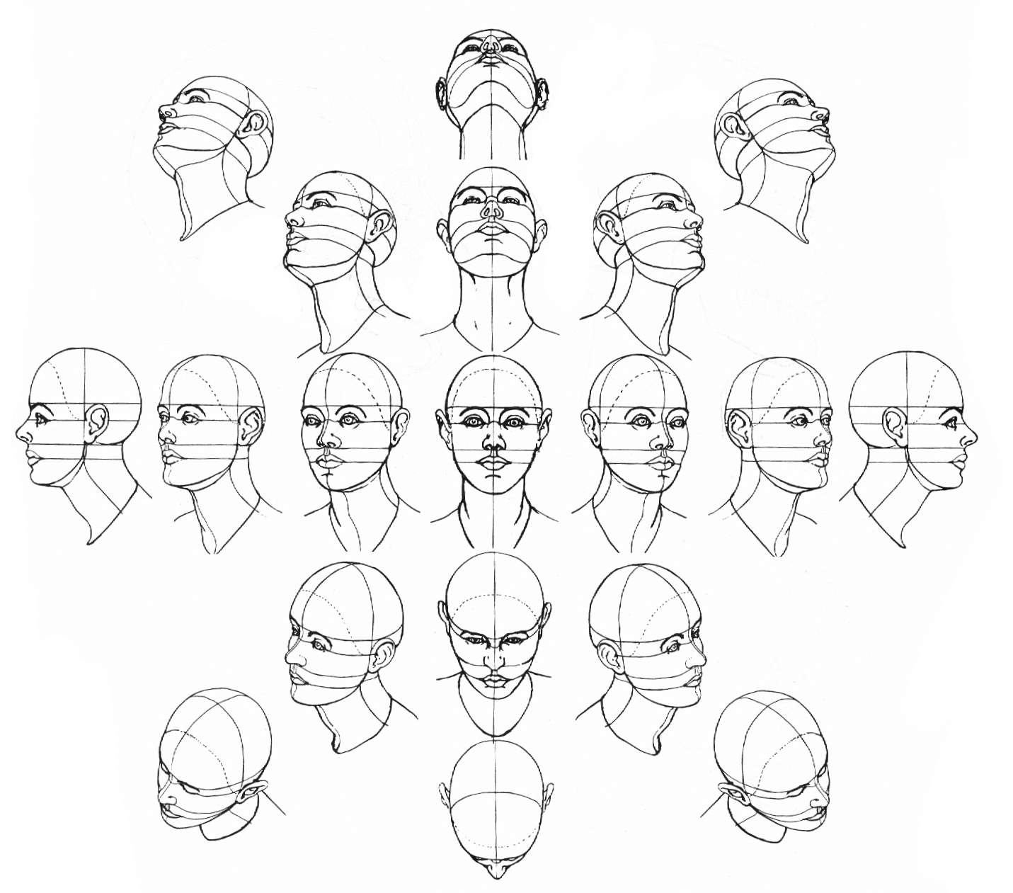 1431x1261 Jeff Searle Drawing The Head From Different Angles