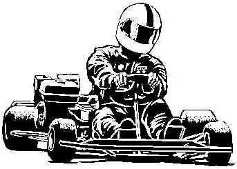 343x245 Karts Taking Track By Storm Stevie Dirt