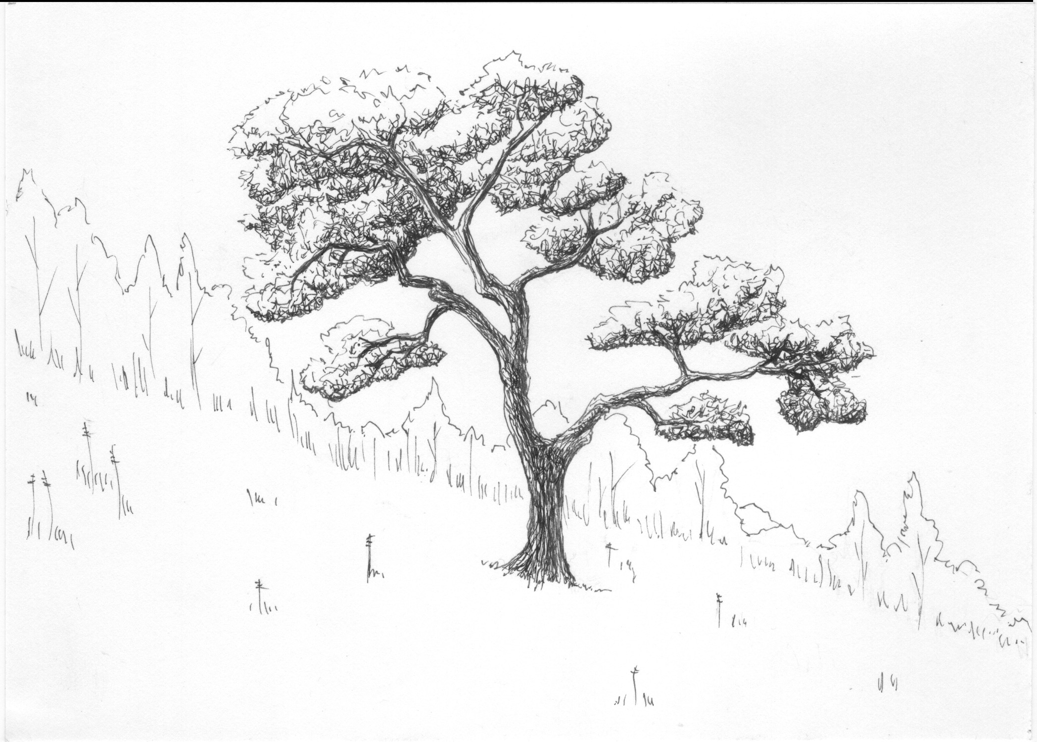 2096x1500 The Art Of Dan Wentworth